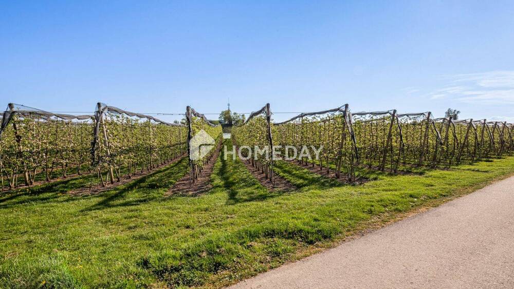 Mehrfamilienhaus, Wohnhaus Kressbronn am Bodensee Gattnau - 2 Zimmer, 395 m&sup2;, 1.419.000&euro; | Angebot:25820169