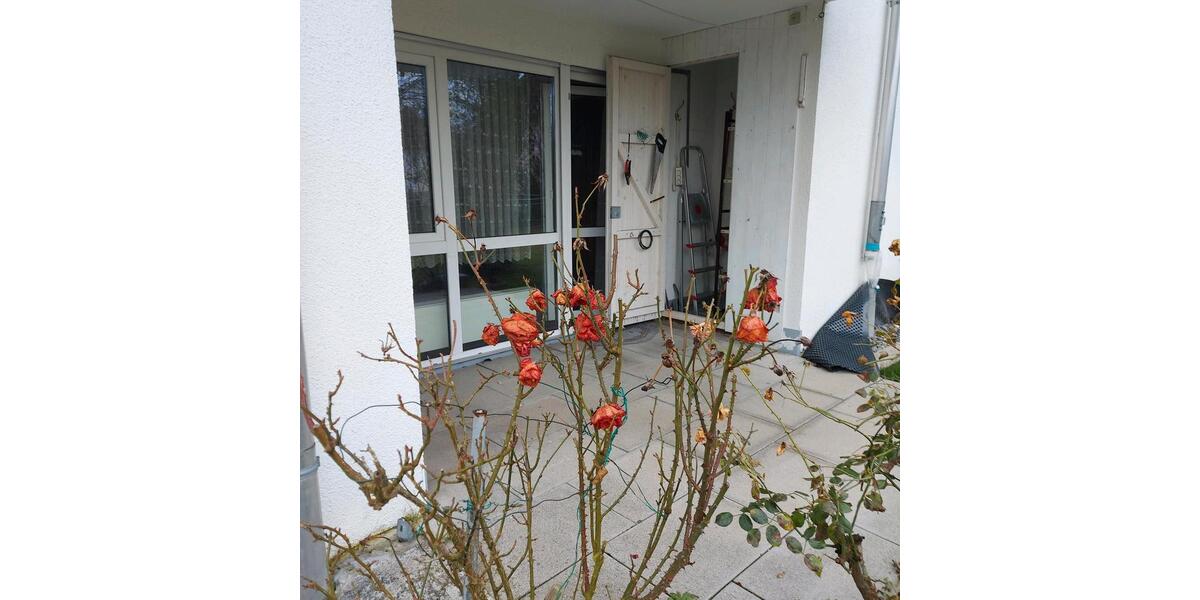 Erdgeschoßwohnung Weingarten - 2 Zimmer, 63 m&sup2;, 260.000&euro; | Angebot:25636879