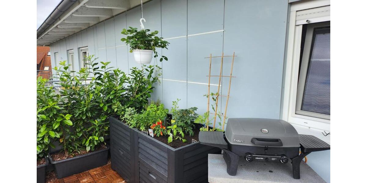 Einfamilienhaus Friedrichshafen Ailingen - 2 Zimmer, 65 m&sup2;, 990&euro; | Angebot:25960819