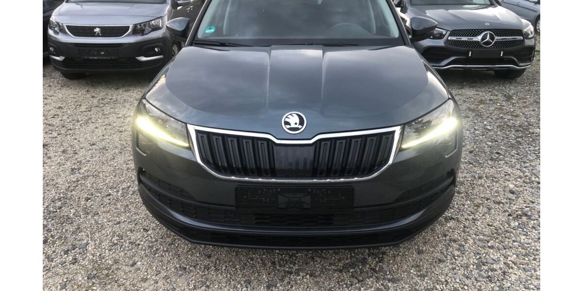 Skoda Karoq 95.236 km 16.999 &euro; bodnegg 88285
