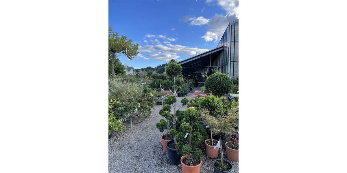 Einfamilienhaus Owingen - 5 Zimmer, 630.000&euro; | Angebot:25679965