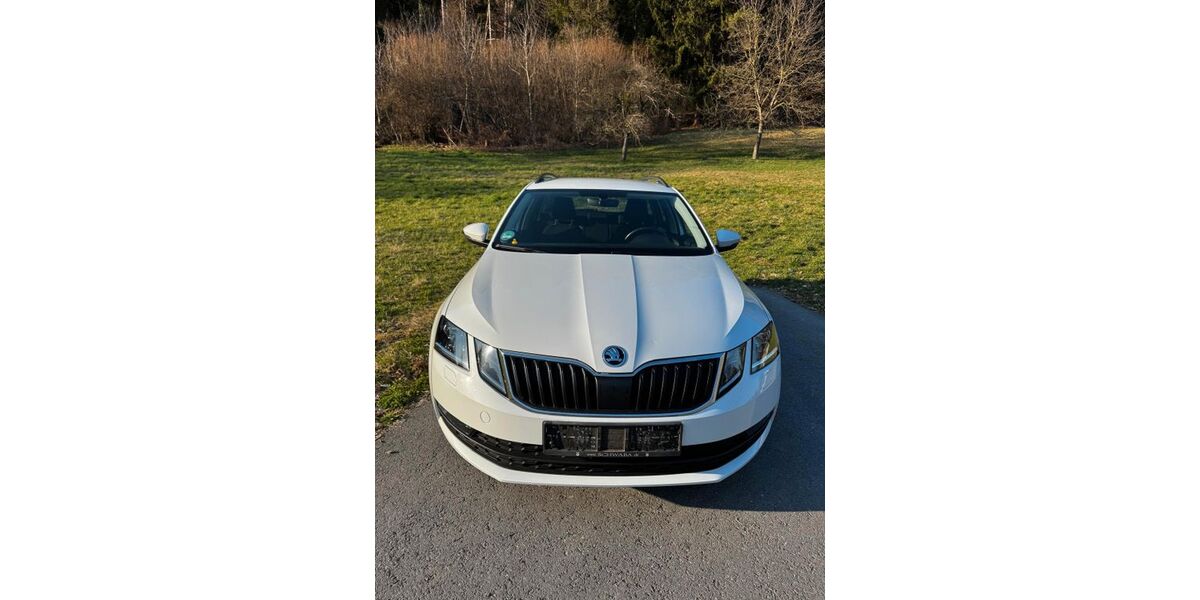 Skoda Octavia 134.900 km 13.750 &euro; Lindau 88131