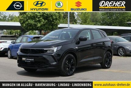 Opel Grandland (X) 21.743 km 23.990 &euro; Wangen 88239