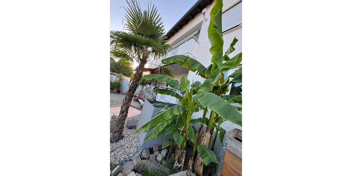 Hochparterre Oberteuringen - 3.5 Zimmer, 91 m&sup2;, 620.000&euro; | Angebot:26906508