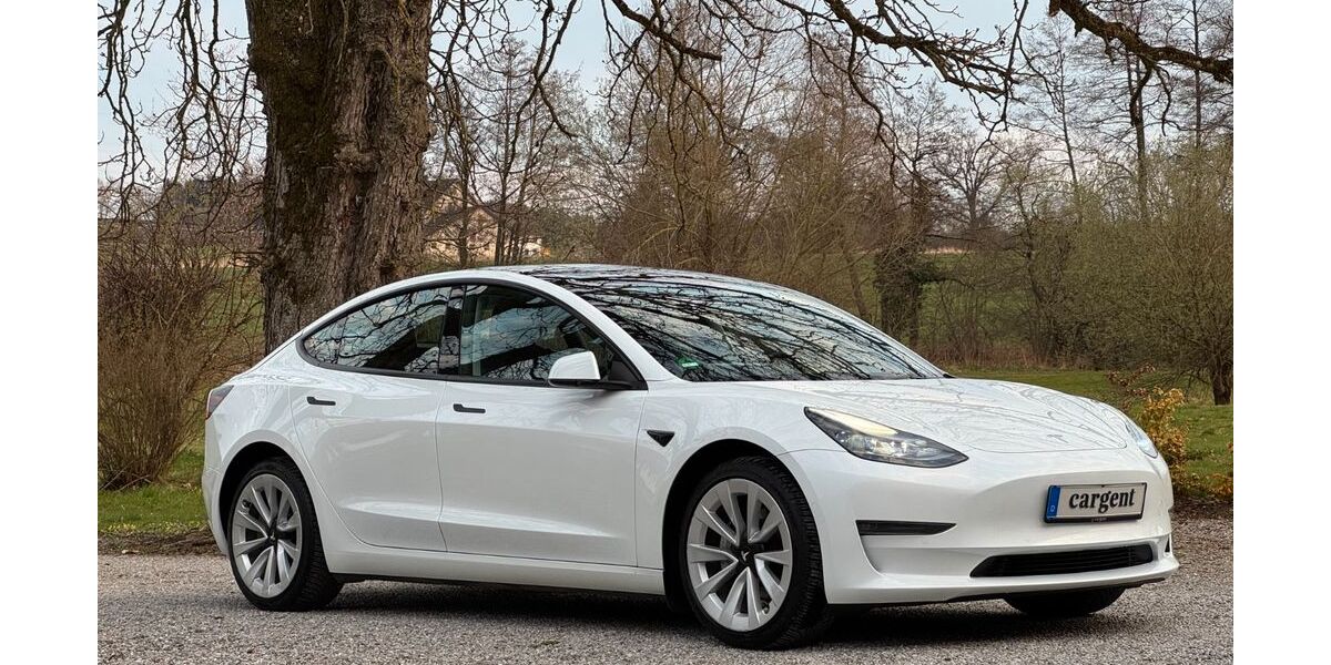 Tesla Model 3 110.000 km 26.990 &euro; Ravensburg 88213