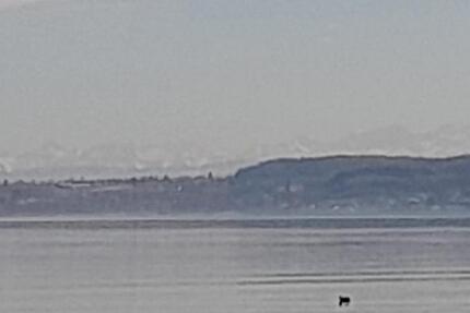 Wohnung Überlingen - 2 Zimmer, 60 m&sup2;, 380.000&euro; | Angebot:26107861