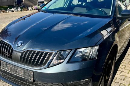 Skoda Octavia 207.728 km 9.300 &euro; Lindau 88131