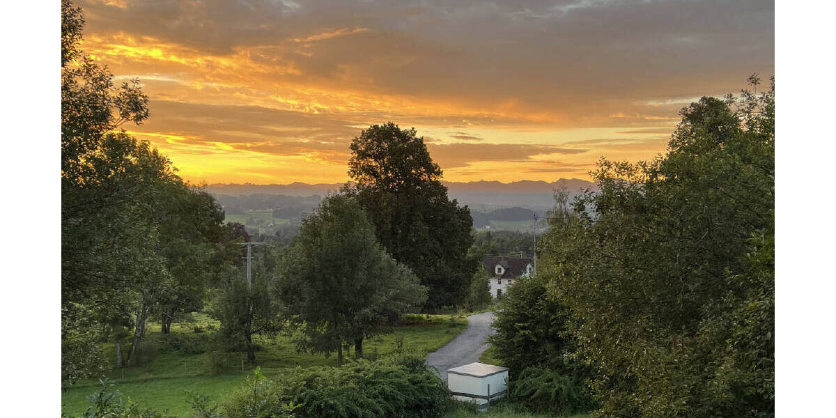 Mehrfamilienhaus, Wohnhaus Waldburg - 1 Zimmer, 400 m&sup2;, 1.938.000&euro; | Angebot:25682937