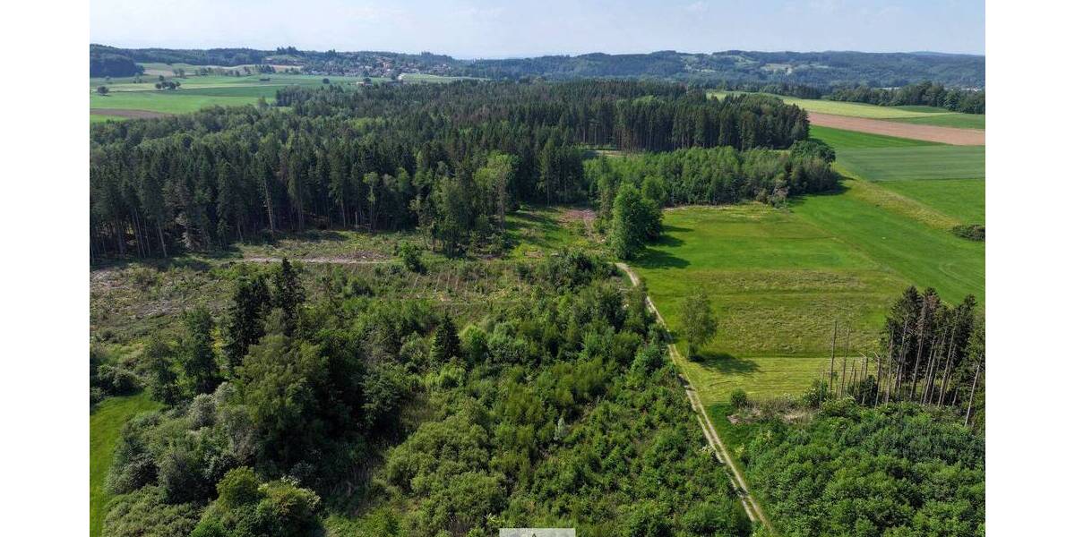Grundstück Bergatreute - 114.900&euro; | Angebot:26798337