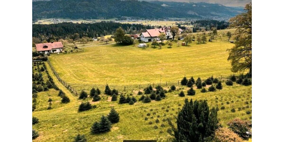 Reihenhaus Sigmarszell - 5 Zimmer, 168 m&sup2;, 568.000&euro; | Angebot:18527330