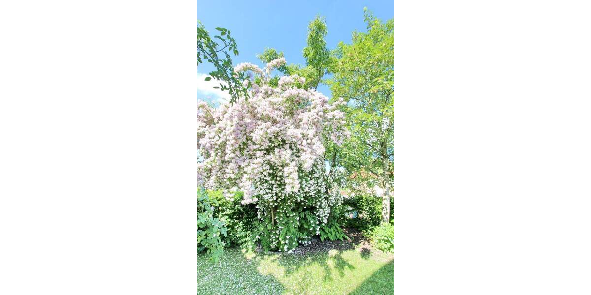 Etagenwohnung Wangen - 3 Zimmer, 85 m&sup2;, 248.800&euro; | Angebot:25682902