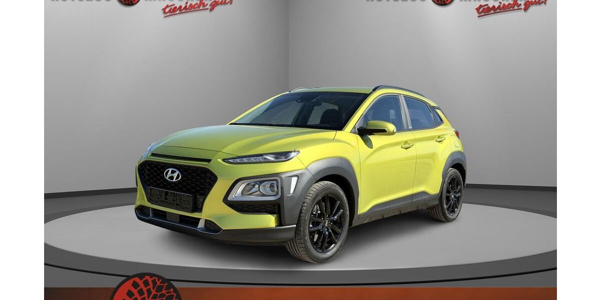 Hyundai KONA 65.160 km 16.990 &euro; Wilhelmsdorf 88271