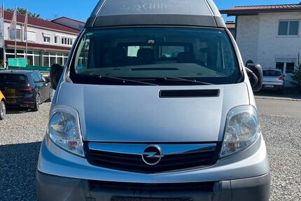 Opel Vivaro 185.925 km 3.999 &euro; Oberteuringen 88094