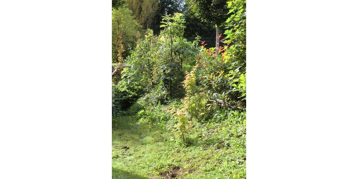 Erdgeschoßwohnung Weingarten - 2.5 Zimmer, 55 m&sup2;, 275.000&euro; | Angebot:25961995