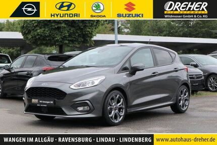 Ford Fiesta 55.122 km 13.490 &euro; Wangen 88239