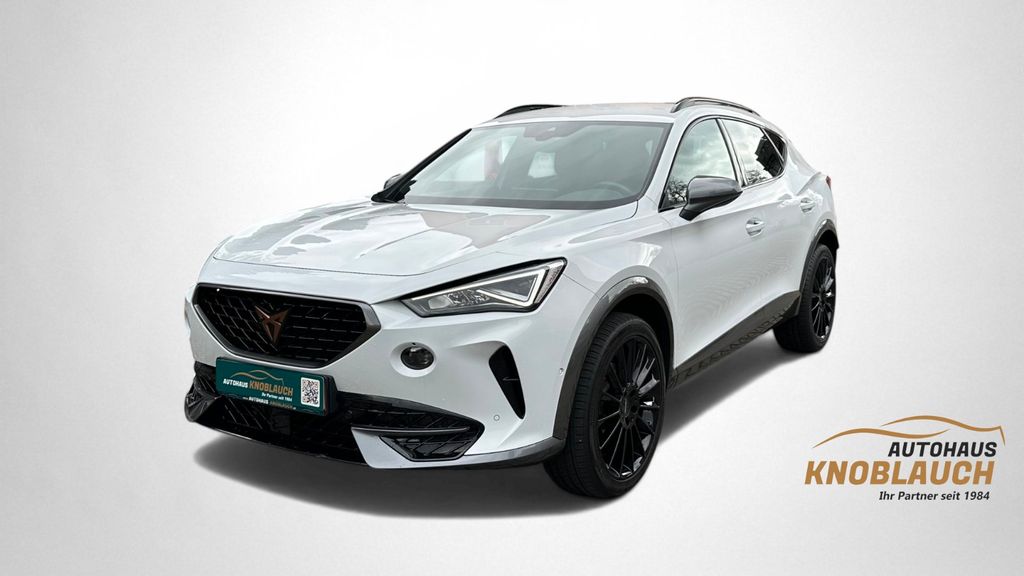 Cupra Formentor 32.100 km 27.500 &euro; Ravensburg 88212