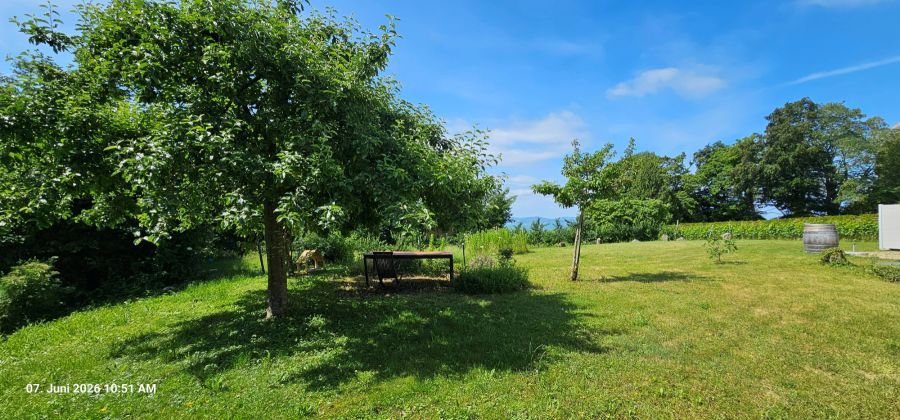 Komplett möbl. 2-Zi-Whg in idyllischer Lage am See! Auch auf Zeit zu mieten! - 2- Nonnenhorn | Angebot:26818115
