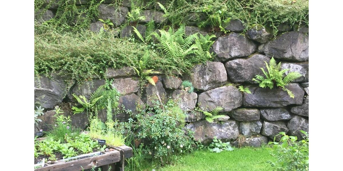 Terrassenwohnung Weingarten - 3.5 Zimmer, 80 m&sup2;, 385.000&euro; | Angebot:25838383