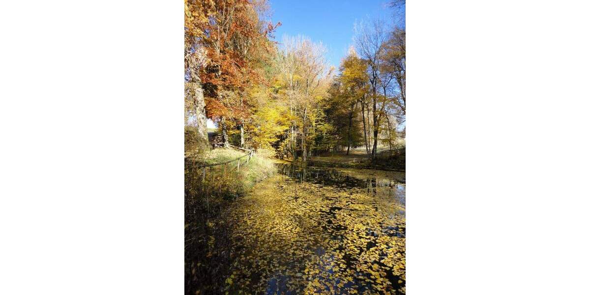 Einfamilienhaus Amtzell - 5 Zimmer, 129 m&sup2;, 1.088.000&euro; | Angebot:25682952