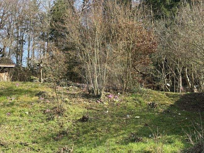 Einfamilienhaus Überlingen - 1 Zimmer, 355 m&sup2;, 1.480.000&euro; | Angebot:25864900