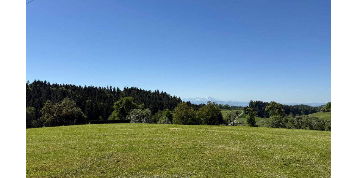 Grundstück Neukirch - 1.280.000&euro; | Angebot:26627280