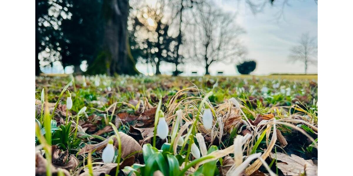 Etagenwohnung Lindau (Bodensee) - 2 Zimmer, 54 m&sup2;, 1.200&euro; | Angebot:25824632