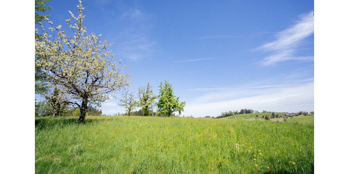 Villa Lindau (Bodensee) - 7 Zimmer, 300 m&sup2;, 2.690.000&euro; | Angebot:24370563