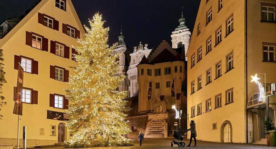 Gewerbeobjekt Weingarten - 900&euro; | Angebot:24919479