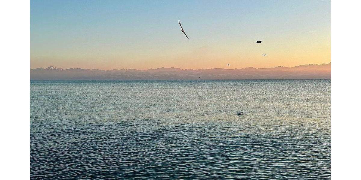 Etagenwohnung Friedrichshafen Allmannsweiler - 2 Zimmer, 67 m&sup2;, 459.000&euro; | Angebot:25740803