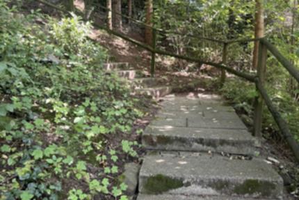 Wohnung Sigmarszell - 2 Zimmer, 80 m&sup2;, 750&euro; | Angebot:25948023