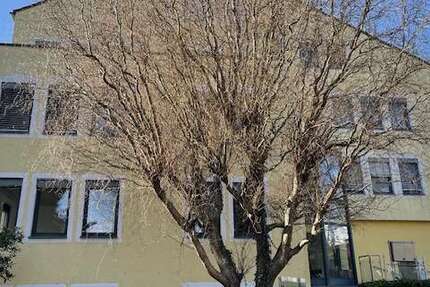 Gewerbeobjekt Lindau - 1.980&euro; | Angebot:25537821