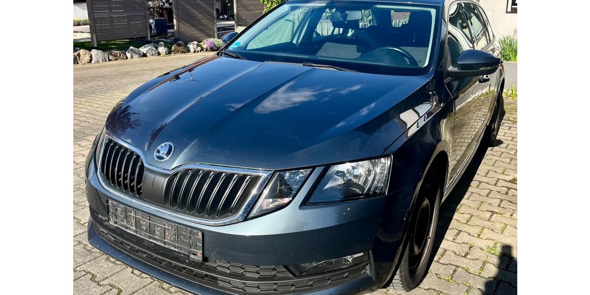 Skoda Octavia 207.728 km 7.800 &euro; Lindau 88131