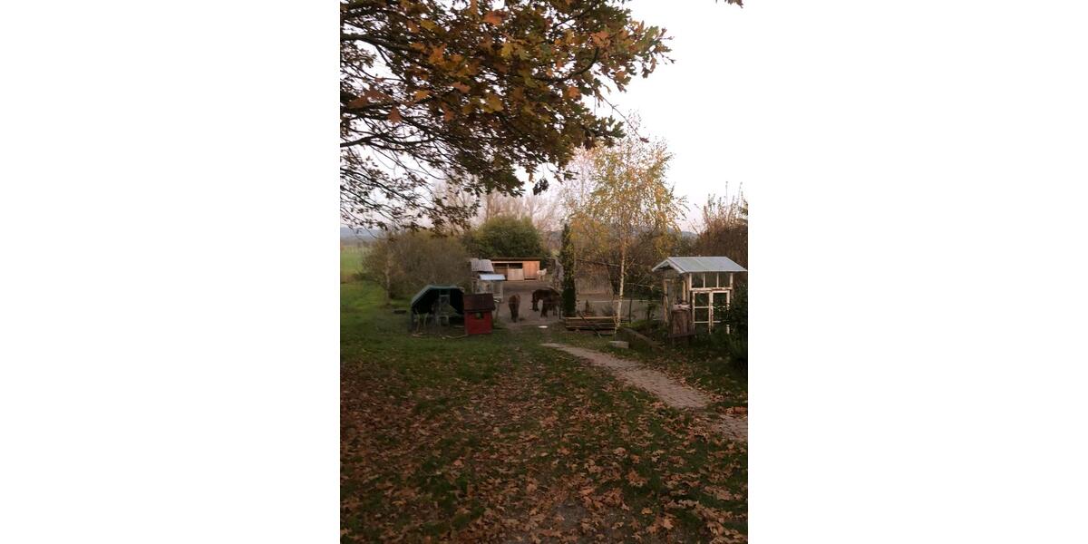 Bauernhaus, Landhaus Wilhelmsdorf - 7 Zimmer, 130 m&sup2;, 2.100&euro; | Angebot:25845678