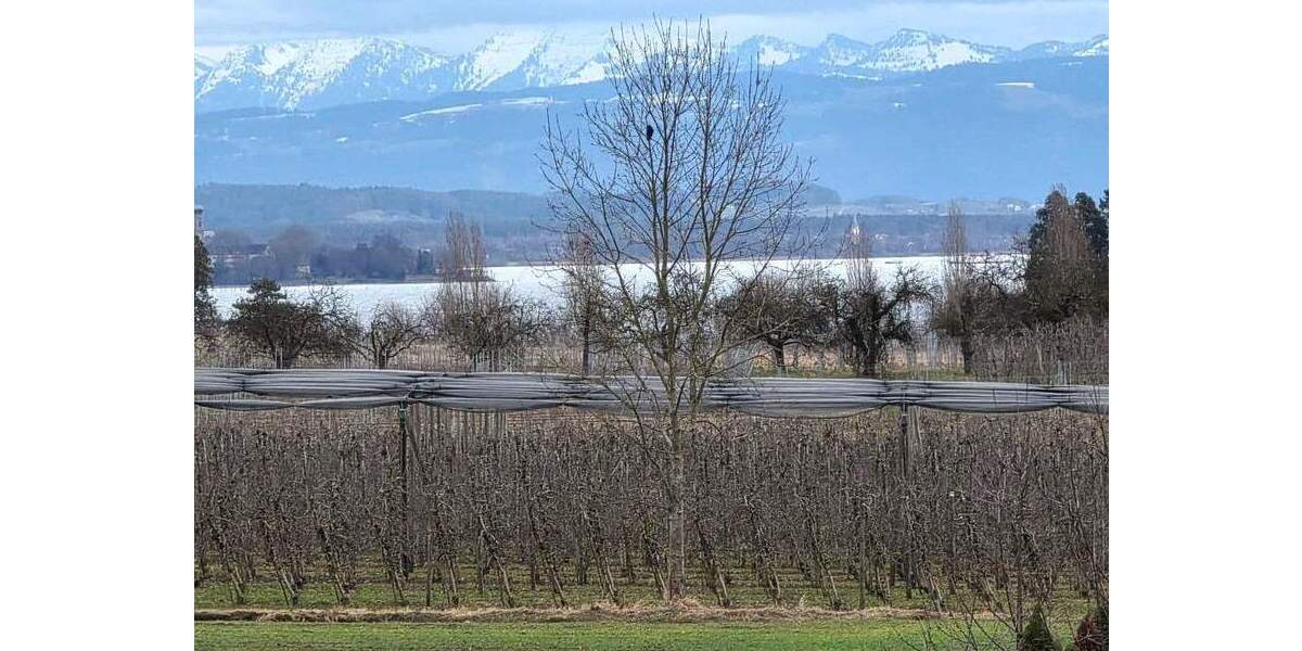 Etagenwohnung Immenstaad am Bodensee Immenstaad - 3 Zimmer, 91 m&sup2;, 320.000&euro; | Angebot:25695830