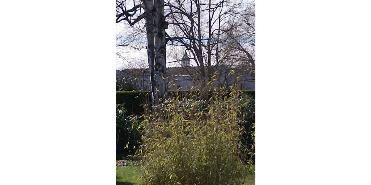 Einfamilienhaus Wangen - 5 Zimmer, 160 m&sup2;, 893.000&euro; | Angebot:25775364