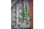 Hochparterre Konstanz Konstanz-Fürstenberg - 20 Zimmer, 44 m&sup2;, 258.000&euro; | Angebot:27019195