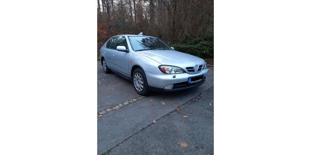 Nissan Primera 43.500 km 2.300 &euro; Meersburg 88709