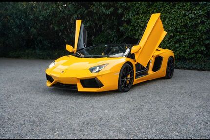 Lamborghini Aventador 29.390 km 321.900 &euro; Ravensburg 88212