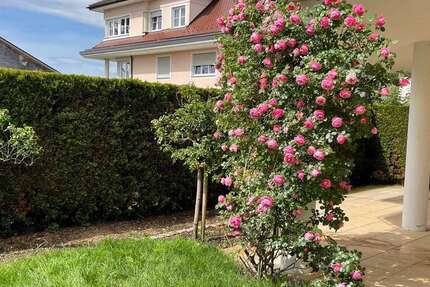 Wohnung Lindau - 5 Zimmer, 160 m&sup2;, 890.000&euro; | Angebot:21207443