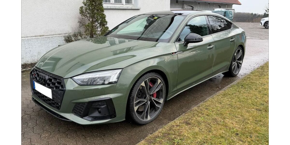 Audi S5 170.000 km 38.999 &euro; Horgenzell 88263