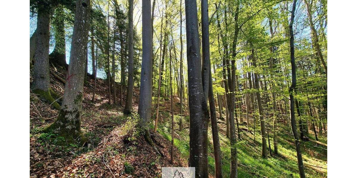 Grundstück Bergatreute - 114.900&euro; | Angebot:26798337