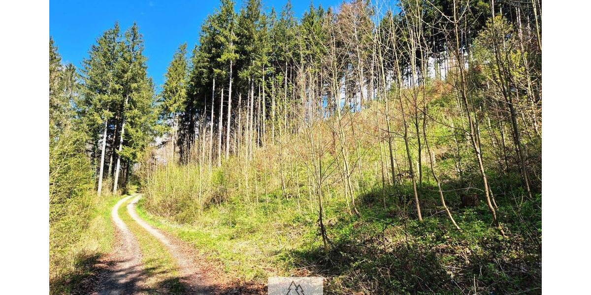 Grundstück Bergatreute - 114.900&euro; | Angebot:26798337