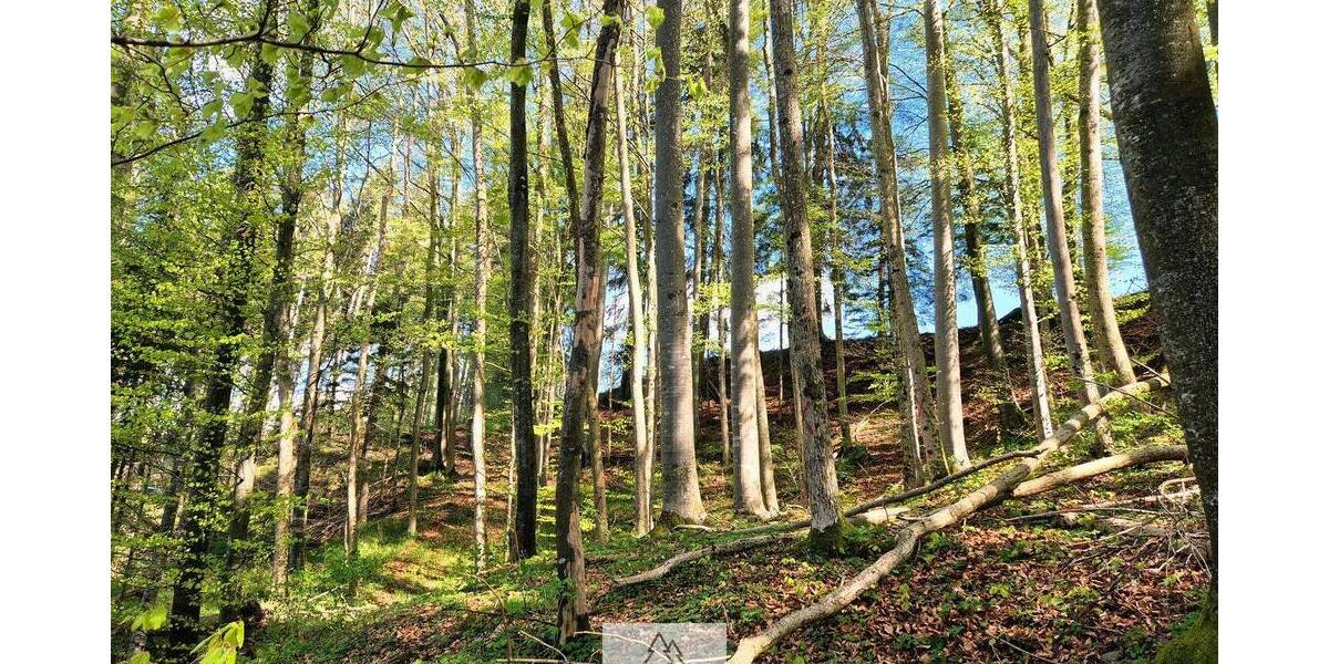 Grundstück Bergatreute - 114.900&euro; | Angebot:26798337