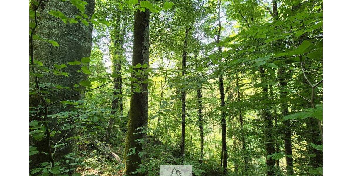 Grundstück Bergatreute - 114.900&euro; | Angebot:26798337