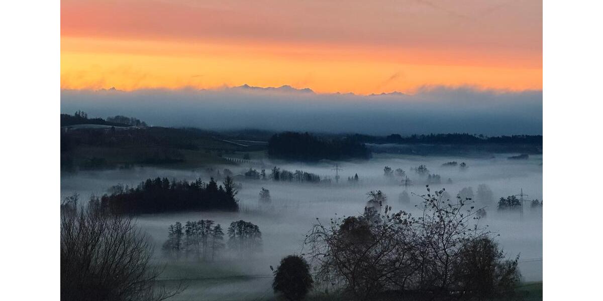 Einfamilienhaus Grünkraut - 5 Zimmer, 155 m&sup2;, 895.000&euro; | Angebot:26145067