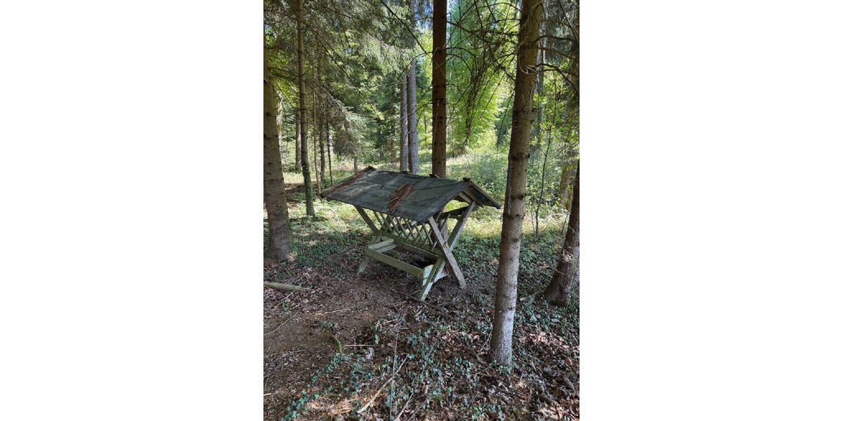Grundstück Neukirch - 1.280.000&euro; | Angebot:26627280