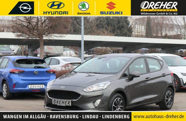 Ford Fiesta 87.497 km 9.890 &euro; Wangen 88239