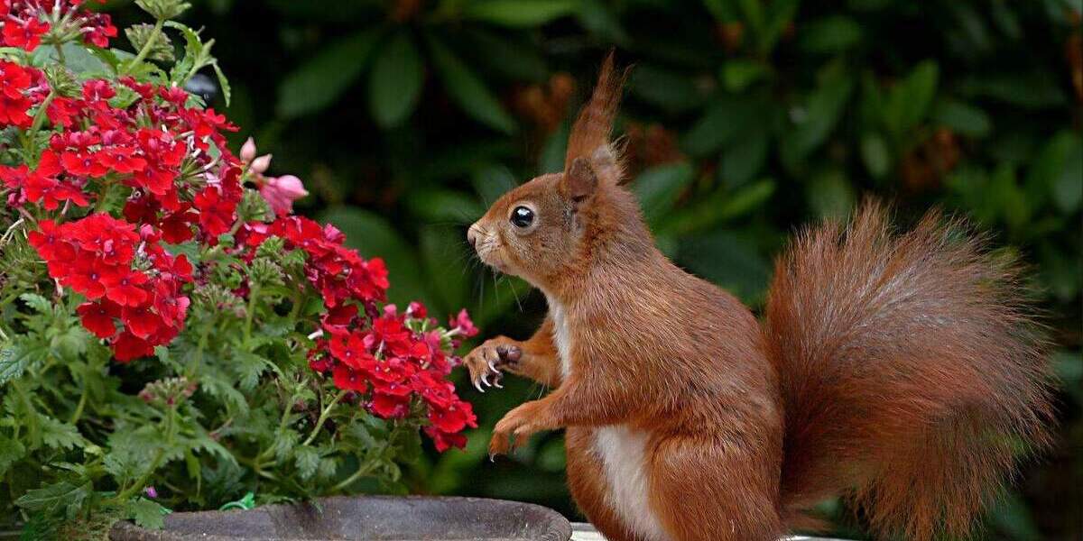 Einfamilienhaus Überlingen - 5 Zimmer, 110 m&sup2;, 525.000&euro; | Angebot:25695299