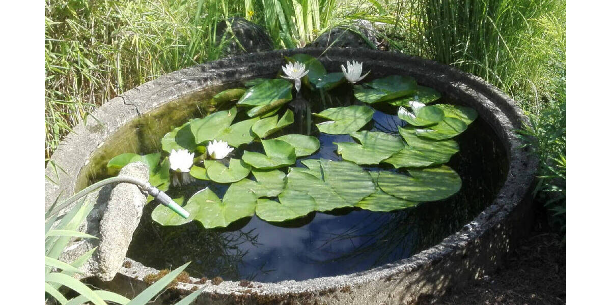 Einfamilienhaus Wangen - 5 Zimmer, 160 m&sup2;, 893.000&euro; | Angebot:25775364