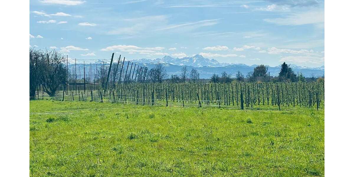 Etagenwohnung Kressbronn am Bodensee / Betznau Betznau - 3 Zimmer, 124 m&sup2;, 856.000&euro; | Angebot:26072700